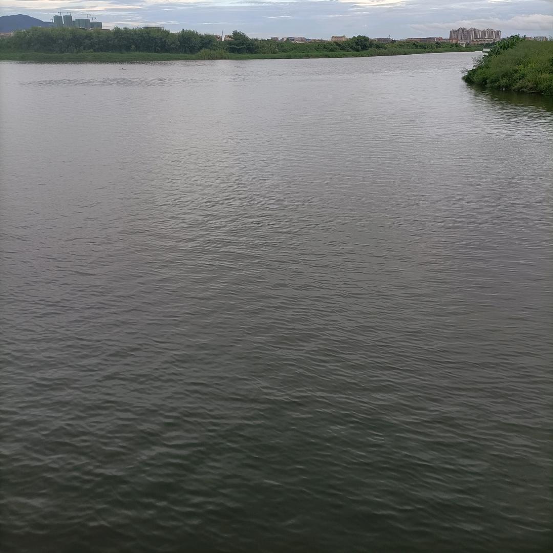 瑞吉