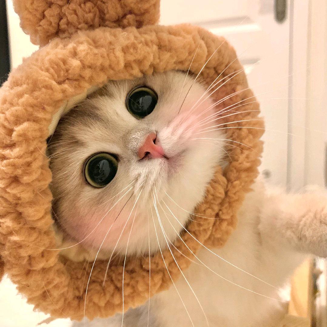 哈？