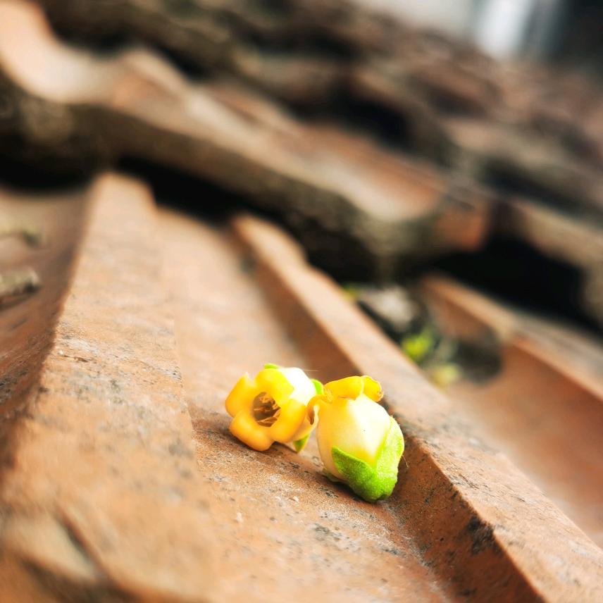 悠悠
