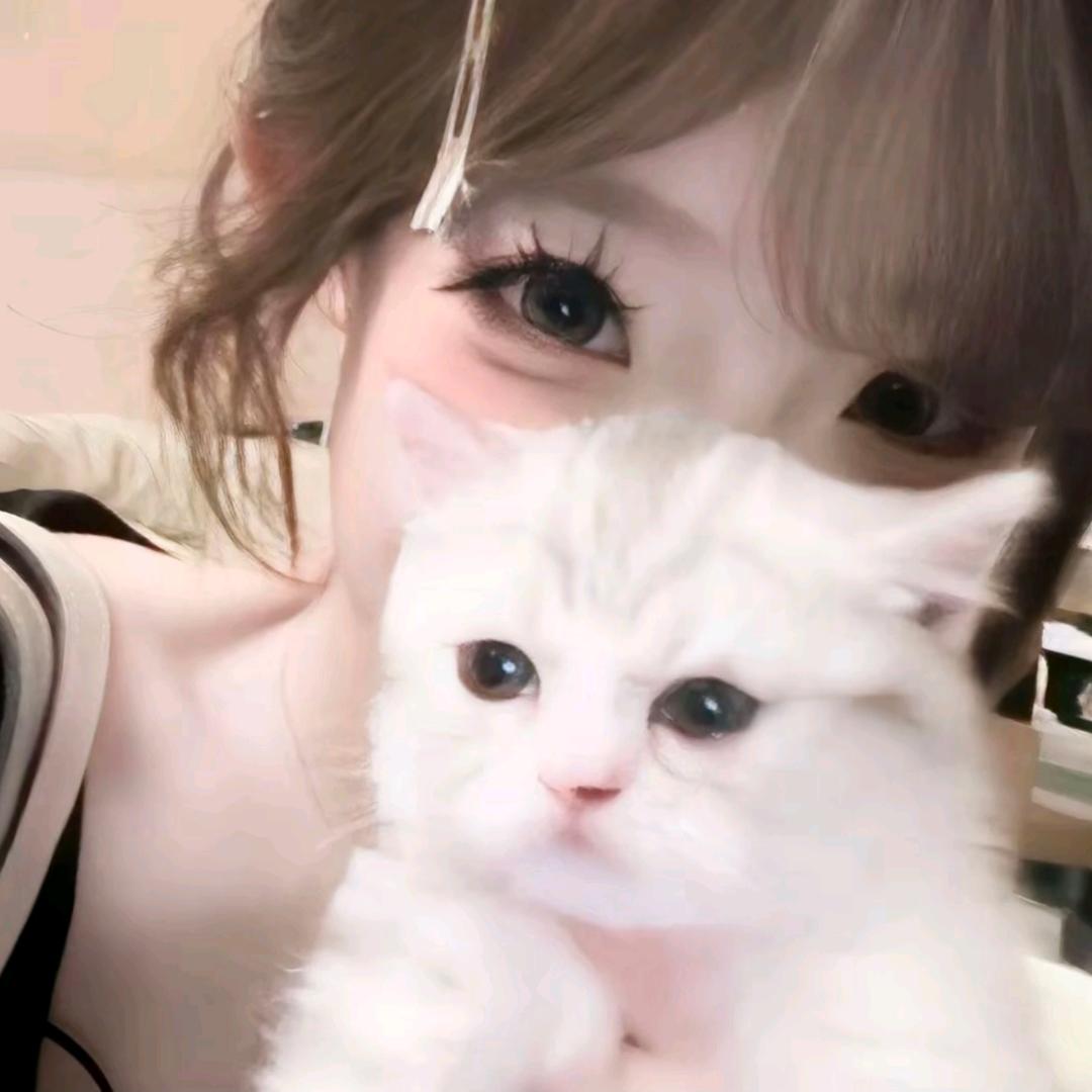 沐渔