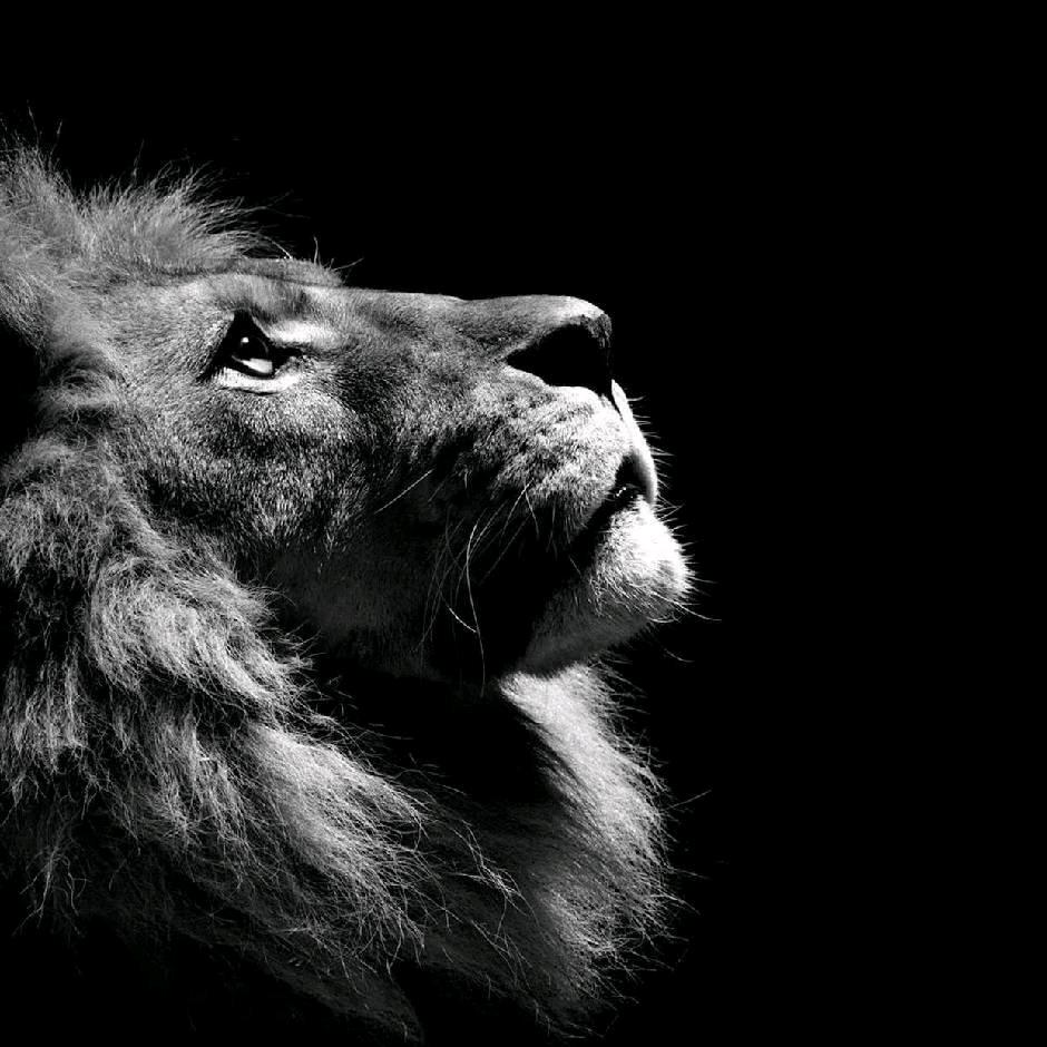 🌈🌈看你的表演🌈🌈