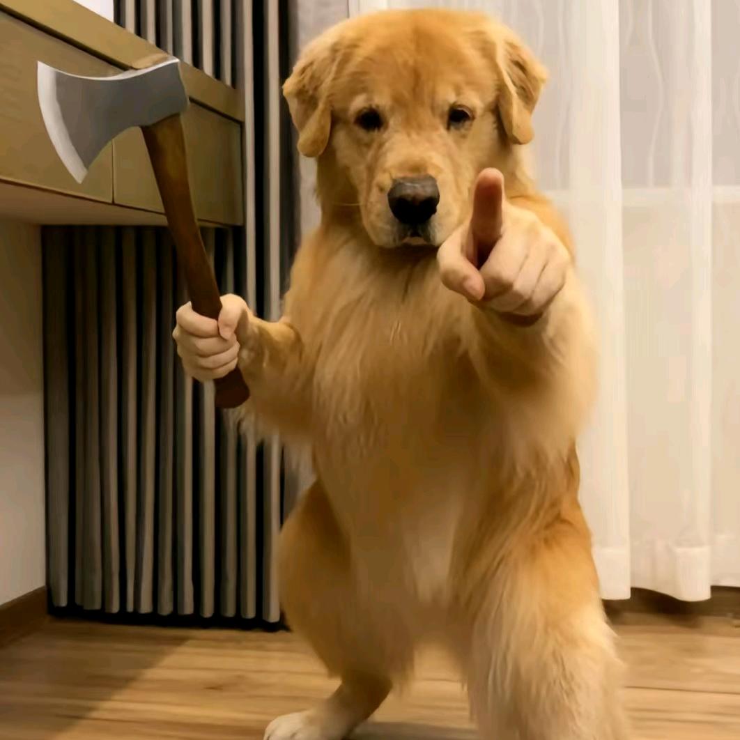 从此疯心🔒爱，