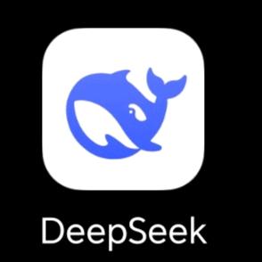 D-seek课程