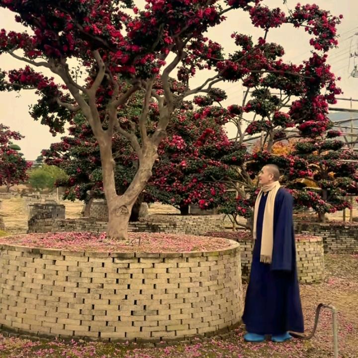 热血