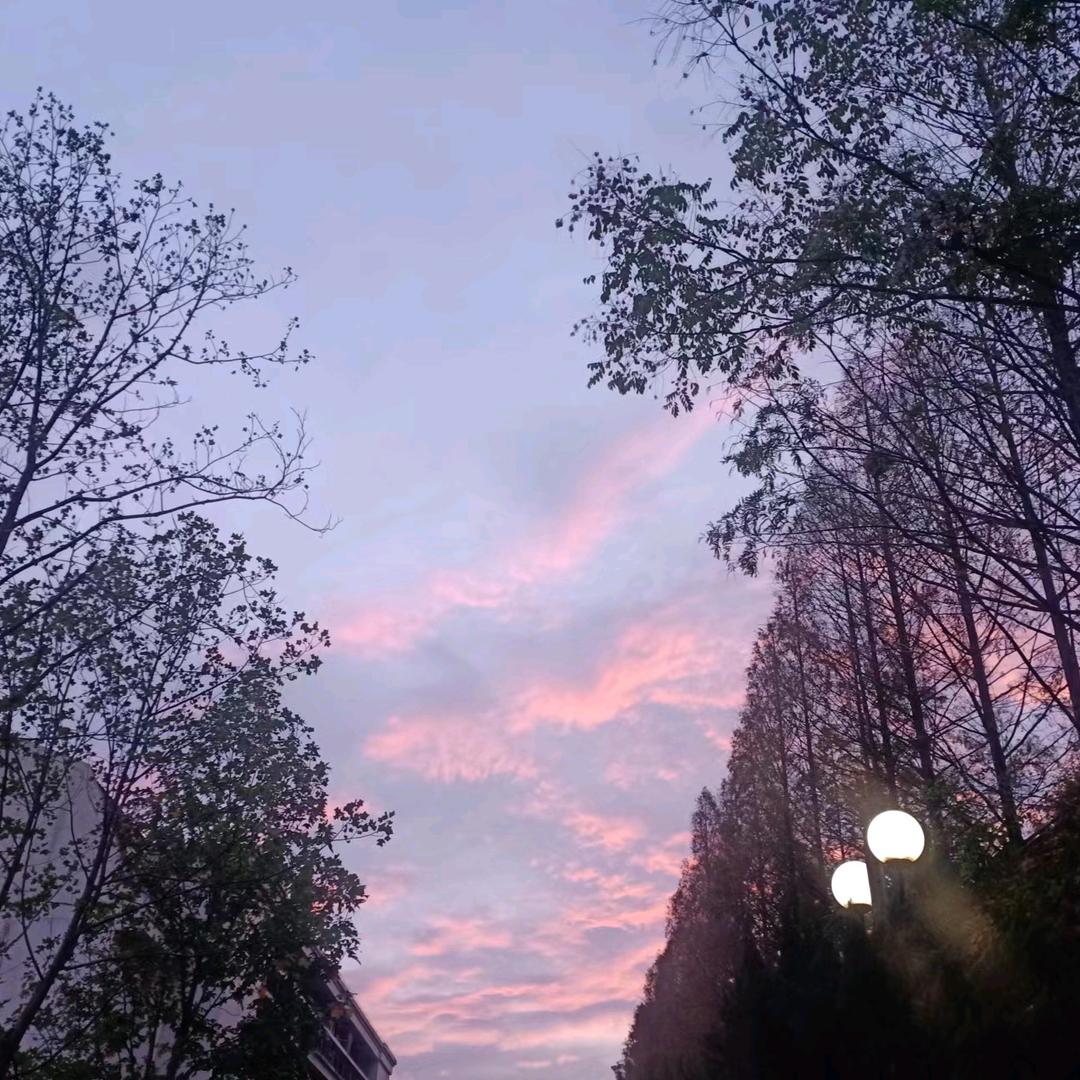 月明星稀等风来