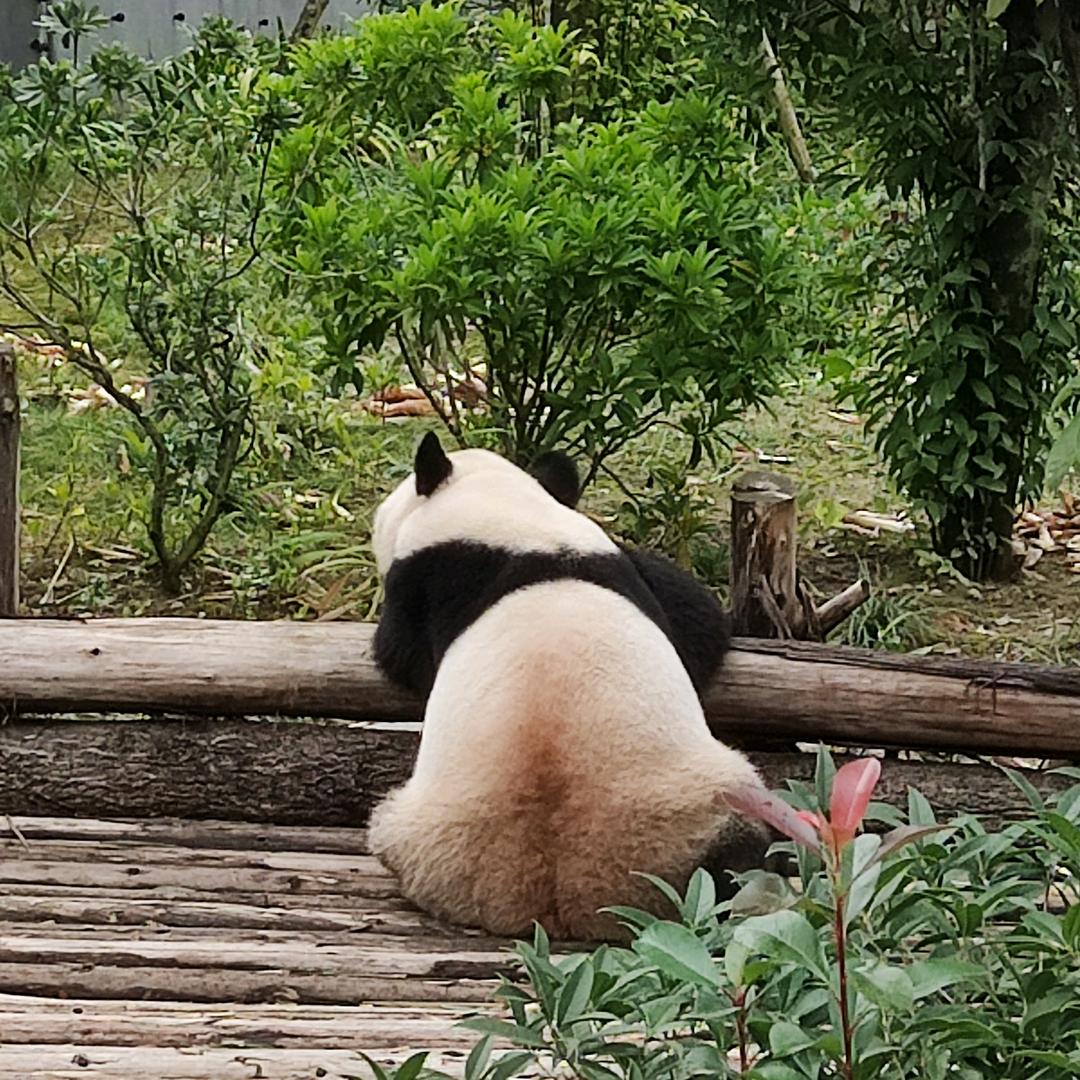 Uranus👩🏿‍🚀