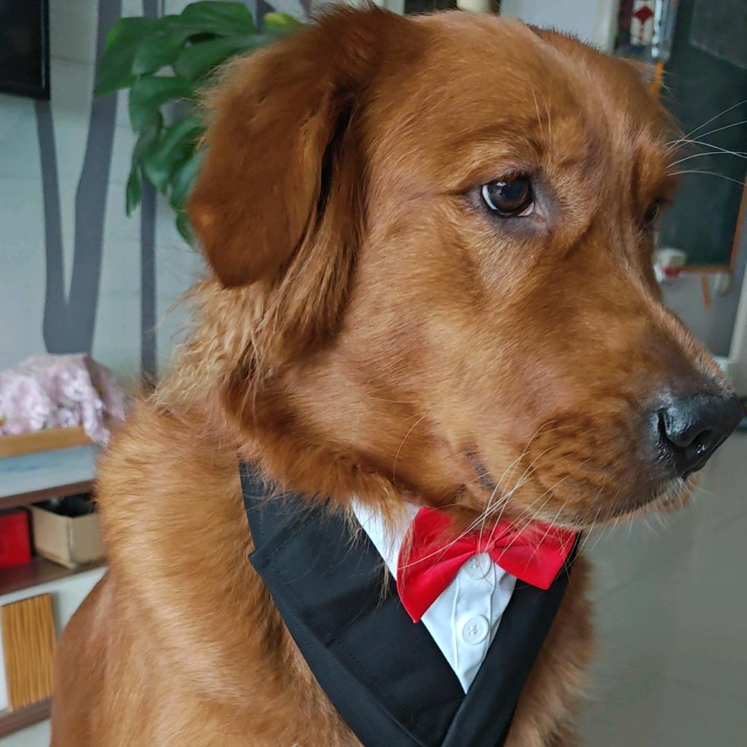 小米没有男朋友