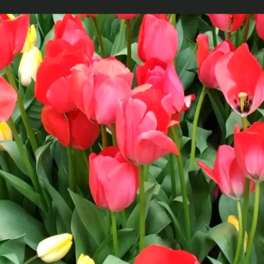 往后余生路漫长