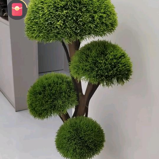 田园风光