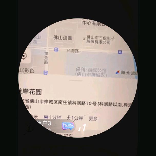 泛品