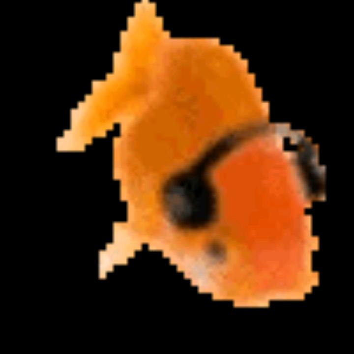0NeC
