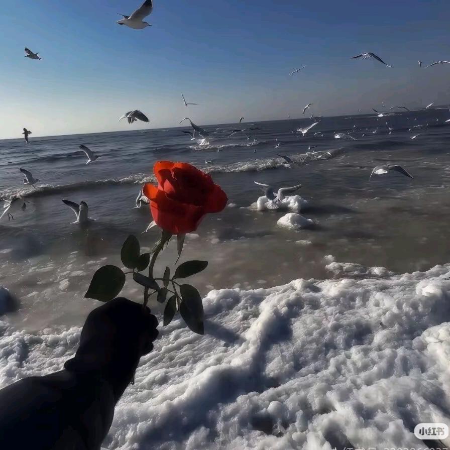 要学的还有很多