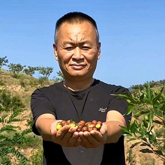 酸枣哥 晨癫癫