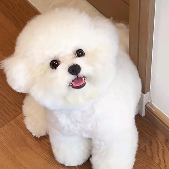 通辽喜哥