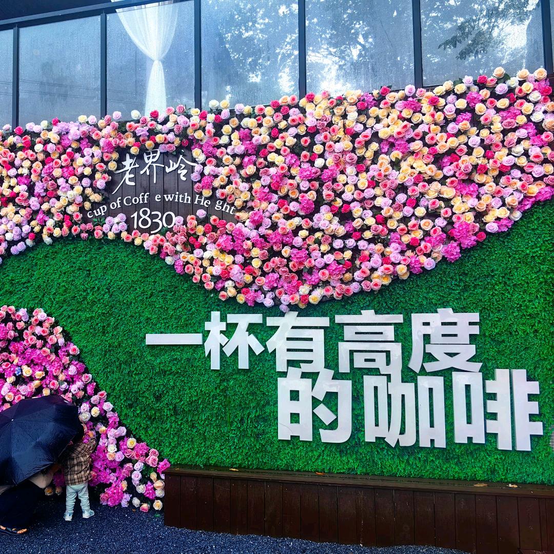 一品白衫