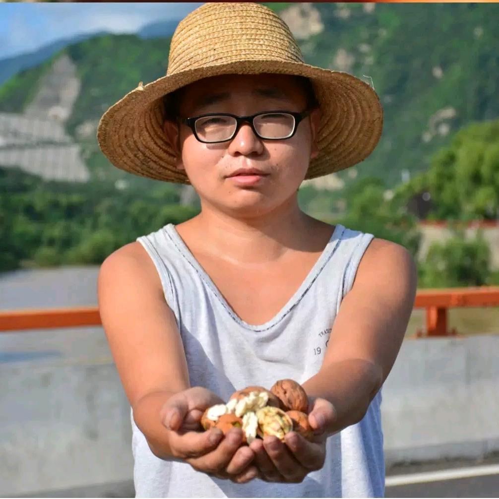 西安鲜核桃供应链（西安核桃王子）