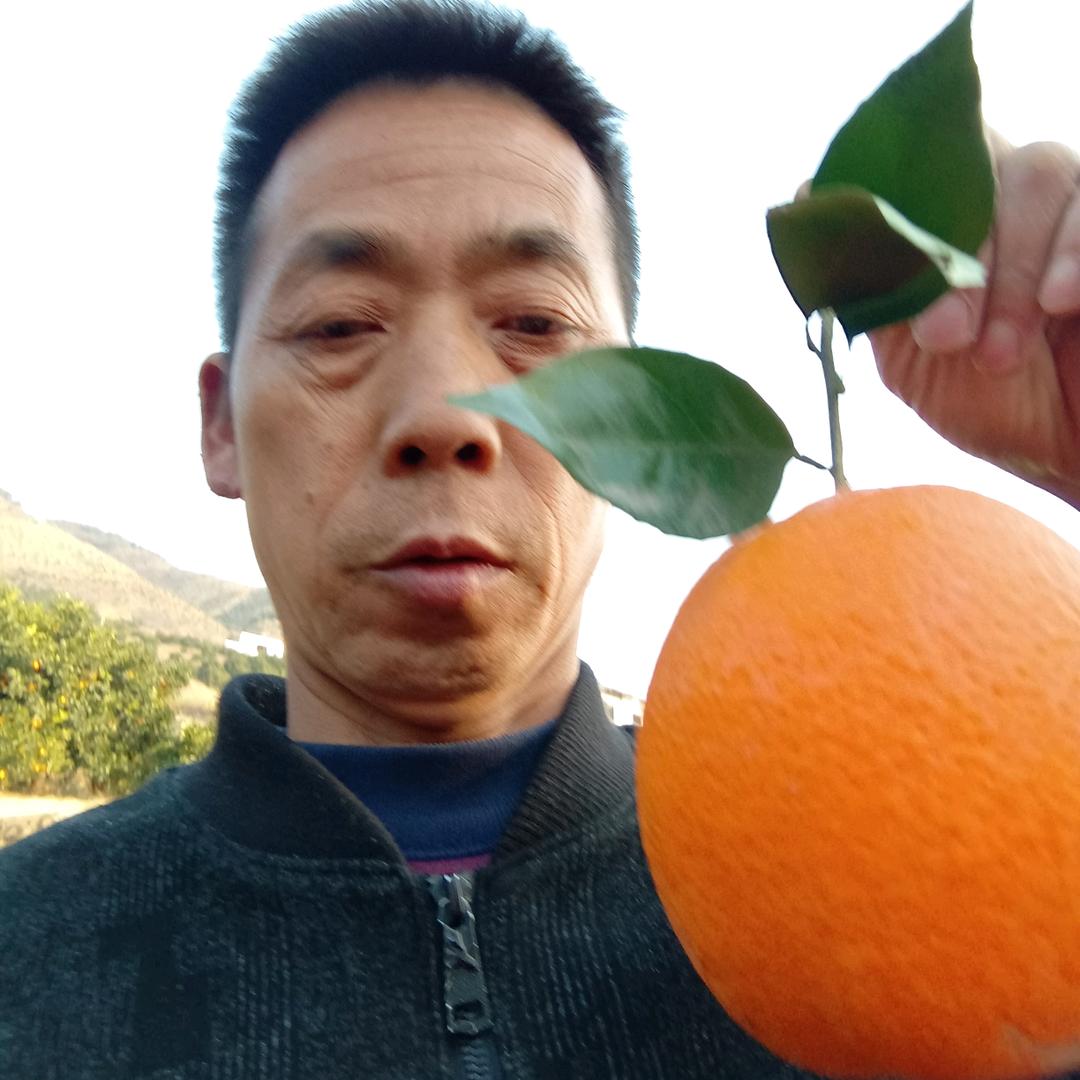 益军果橙