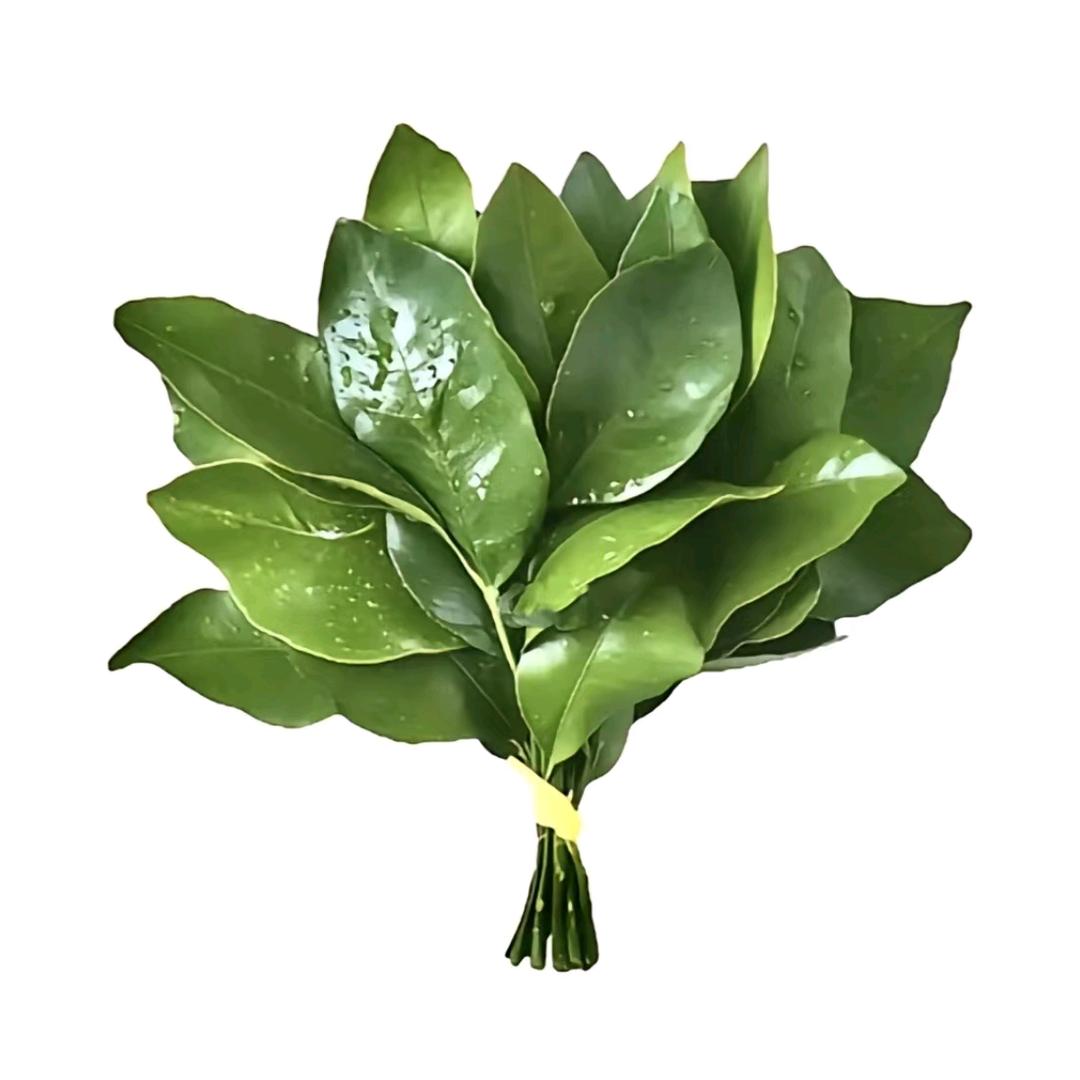 爱哭包ಥ_ಥ💭