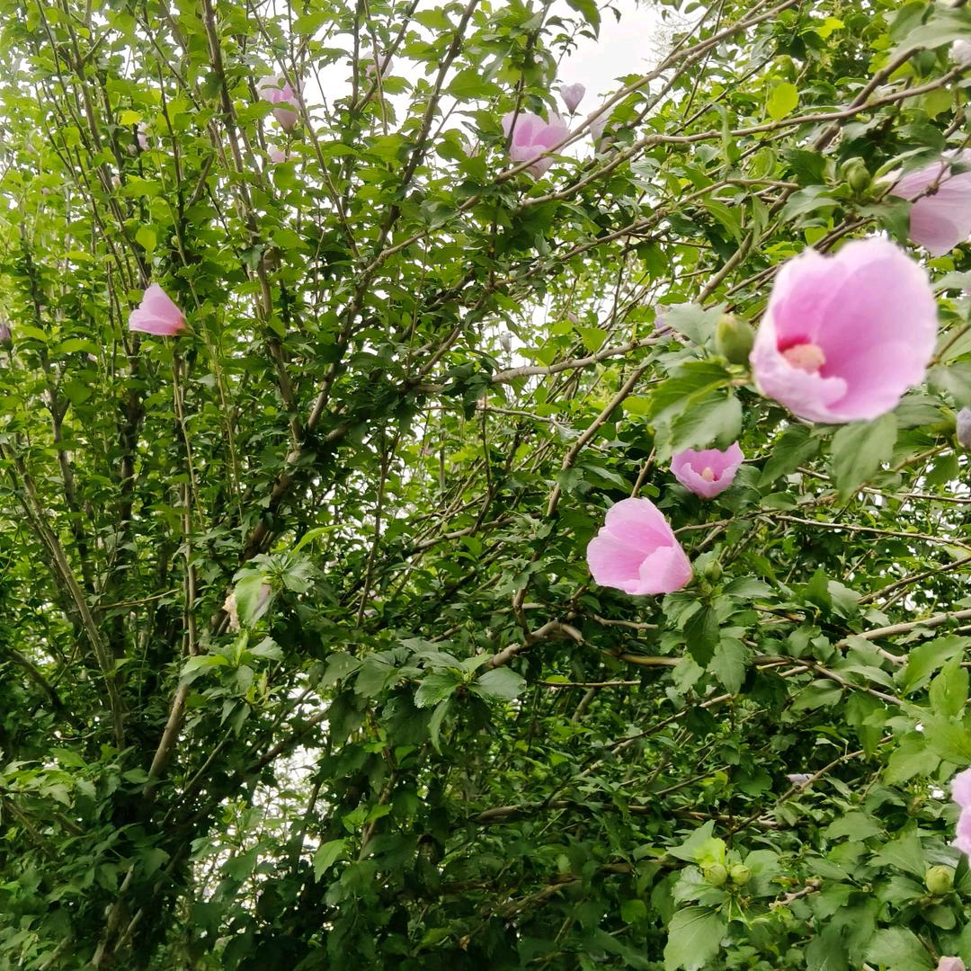 往后余生过自己