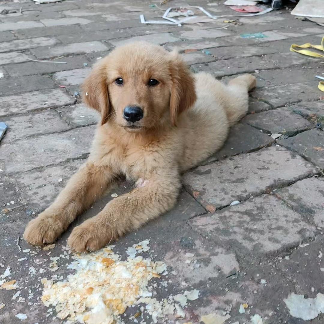 五元井满意车行