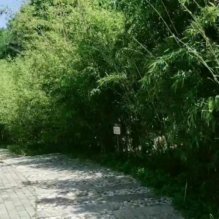 回忆