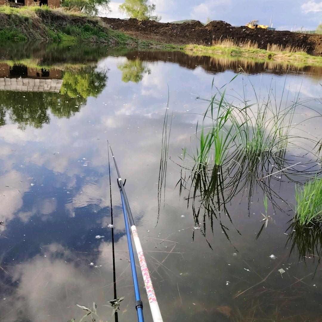 🎣荒野喂鱼郎🎣