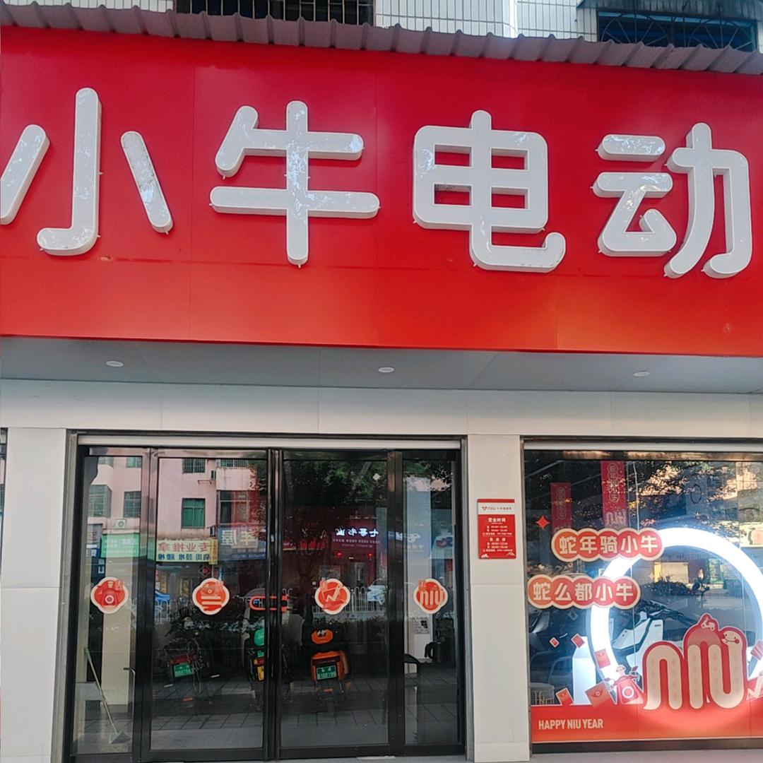 小牛电动车
