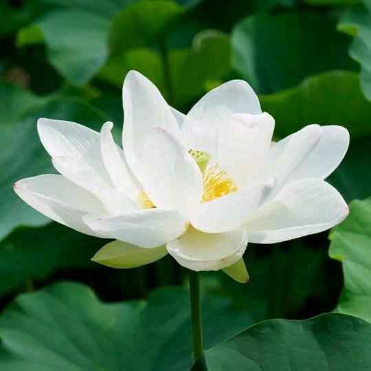 🦅叫🐒做🦓坦🦄克🦋