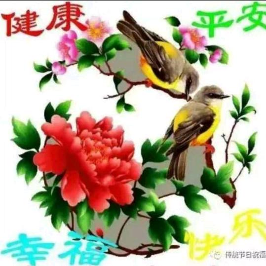 风余同周