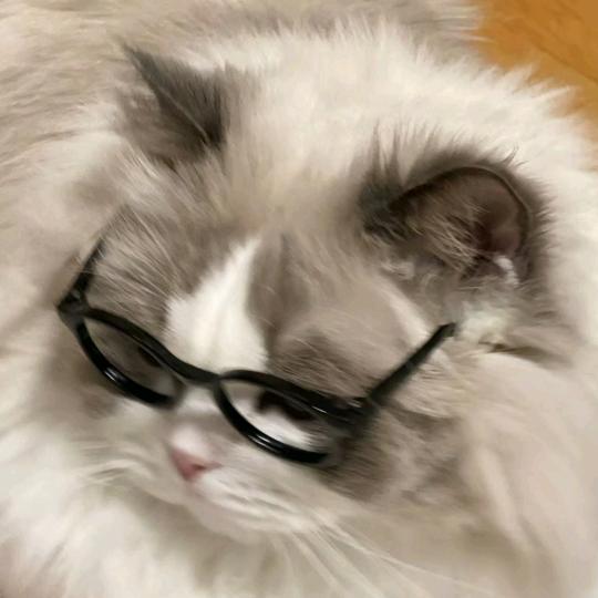 头好痛一定是有人在窃取朕的智慧