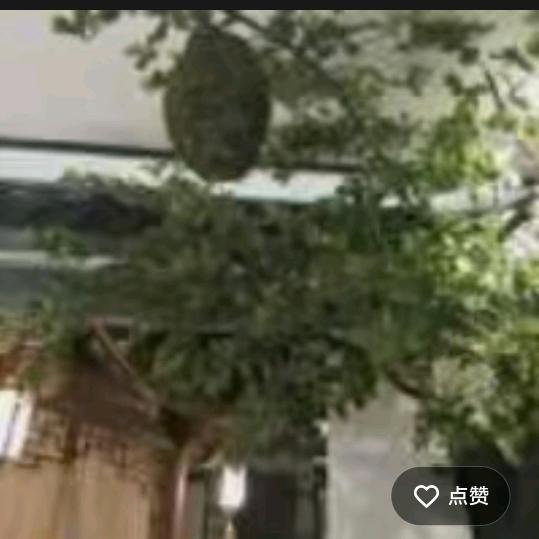 2十1