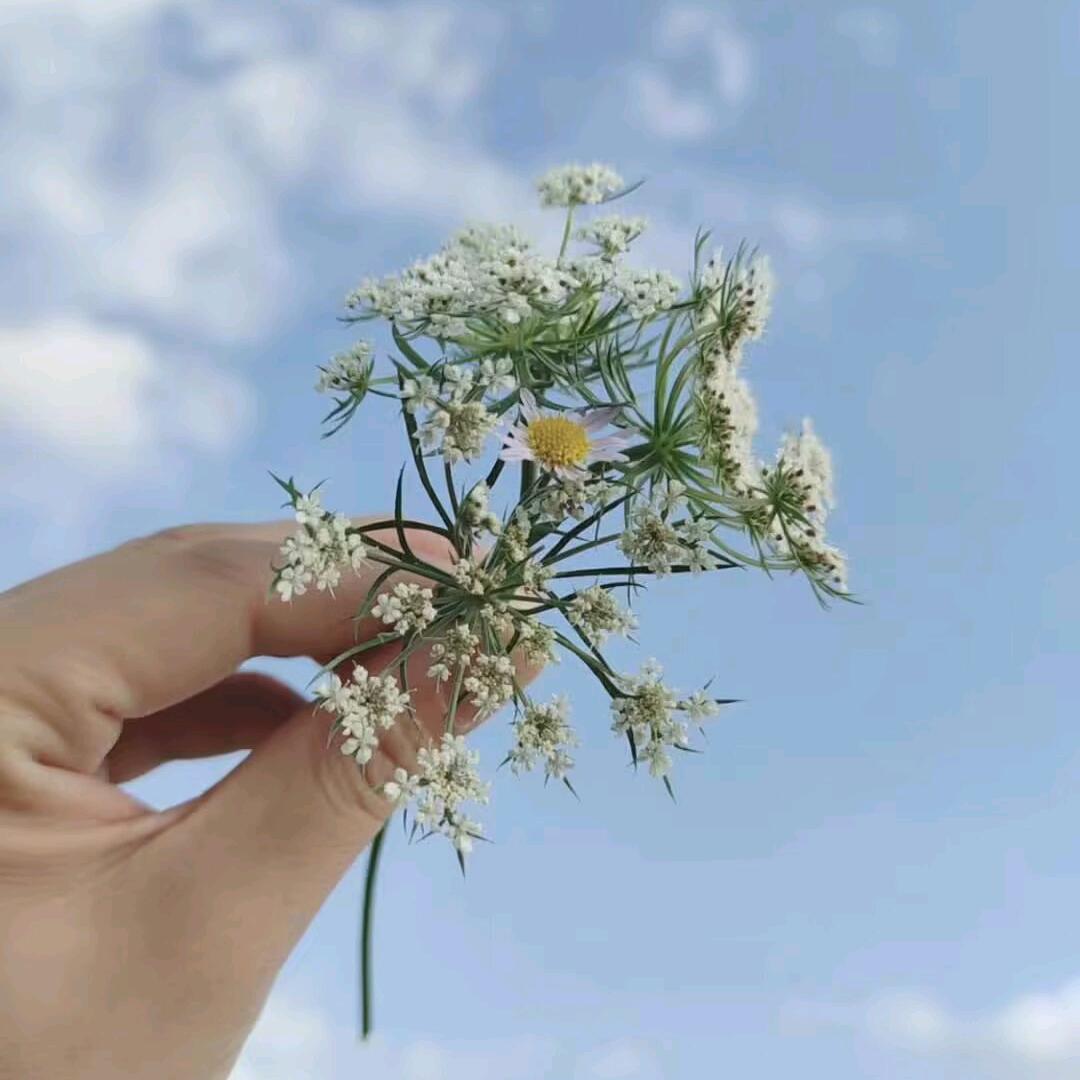 So