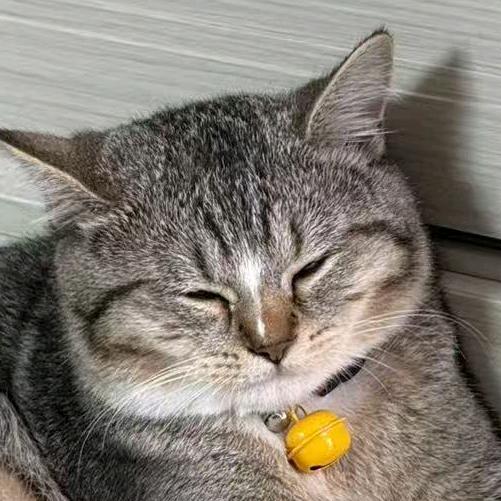 ✨🌈小幸运🌈✨