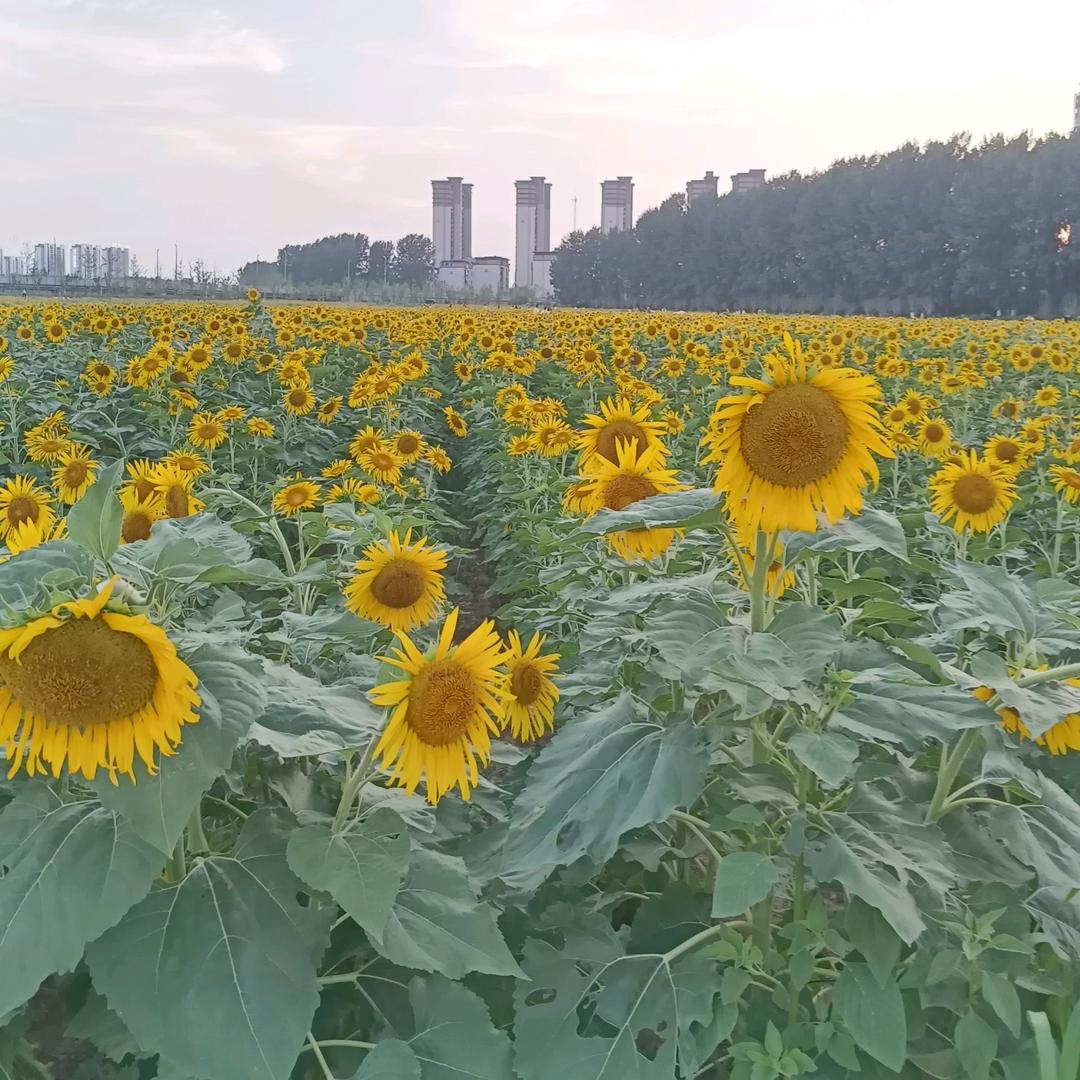 缘分让我遇见你
