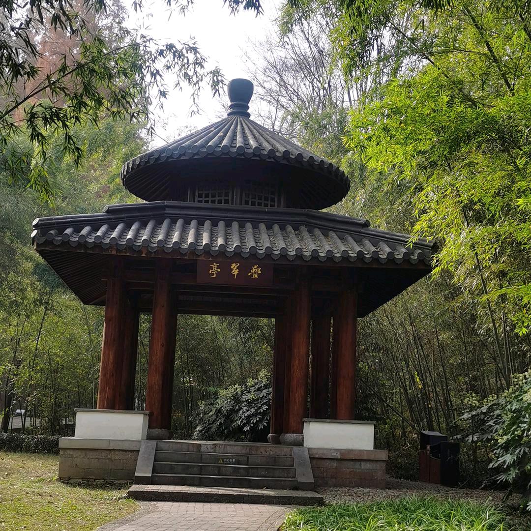 普天同庆后花园聊天直播间