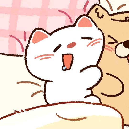 拥有世界上最柔软的肚子