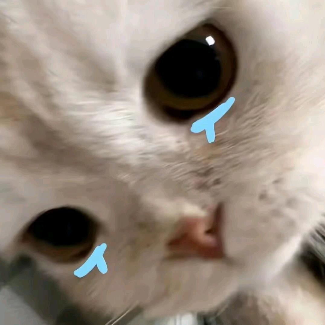 澈cc