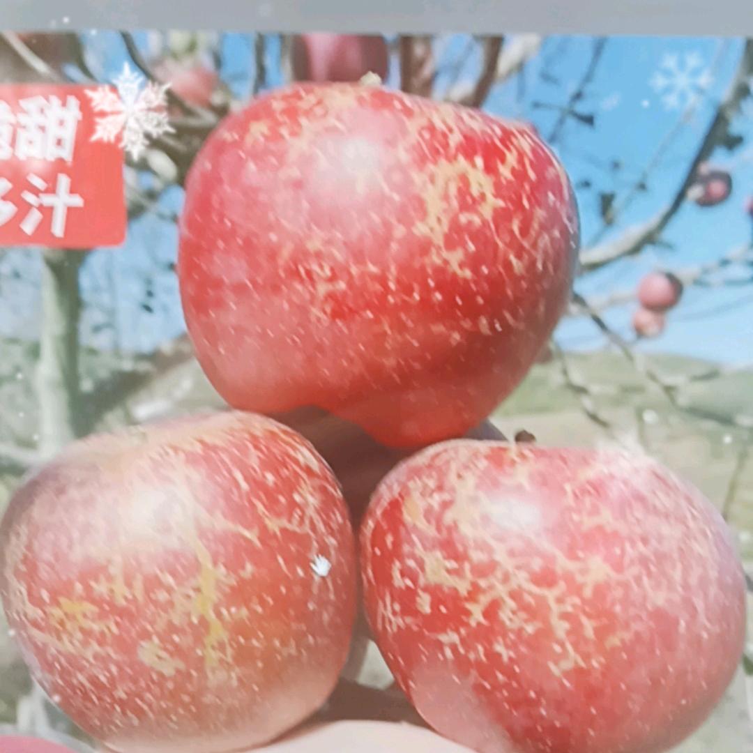 郭老板生鲜