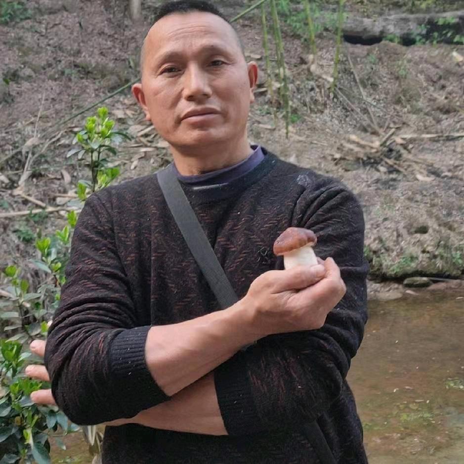 清溪古镇松茸哥