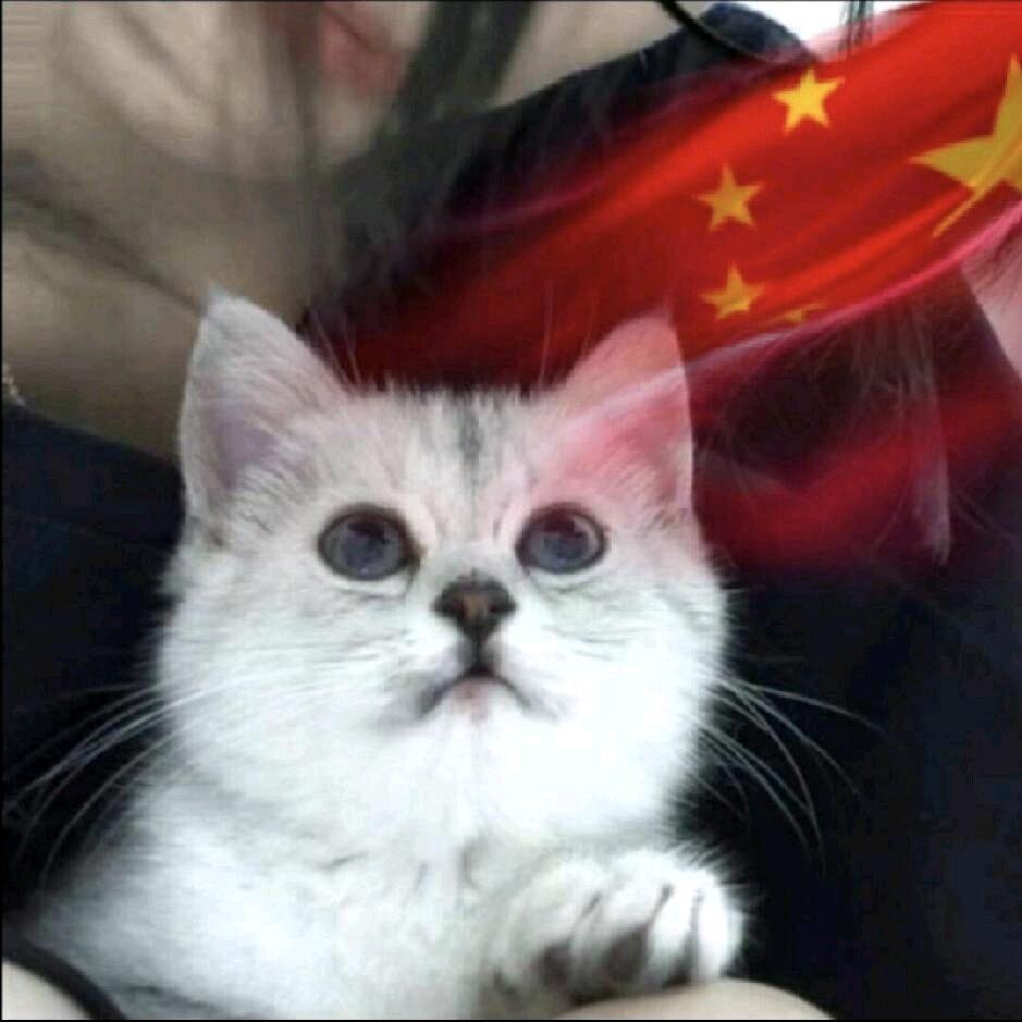 怂^狠💖环GCD117·夜之王🦋