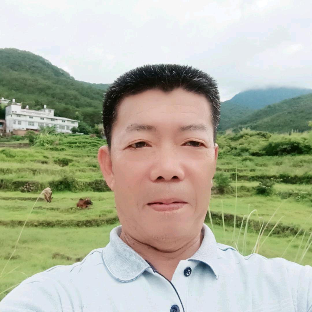 江龙短视频