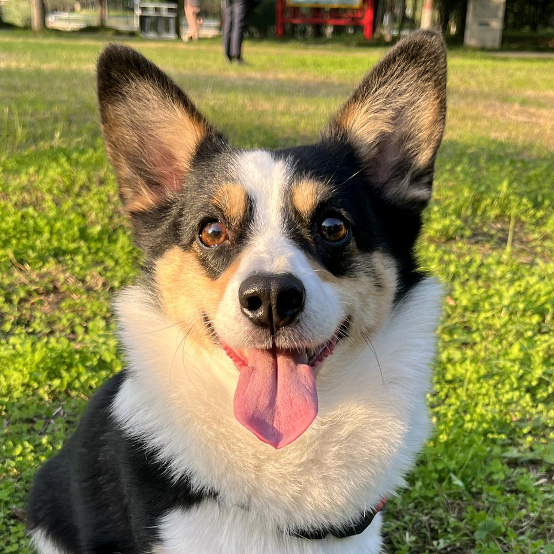 开心还是个宝宝