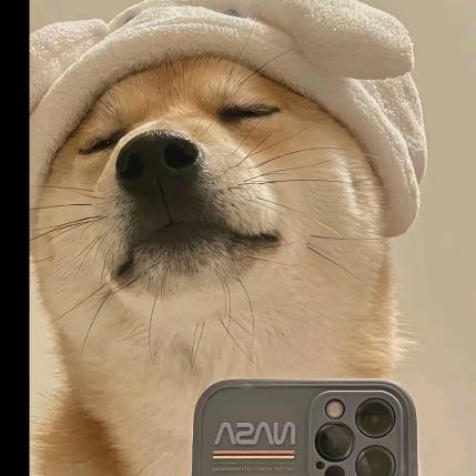 🚩請我吃螺螄粉