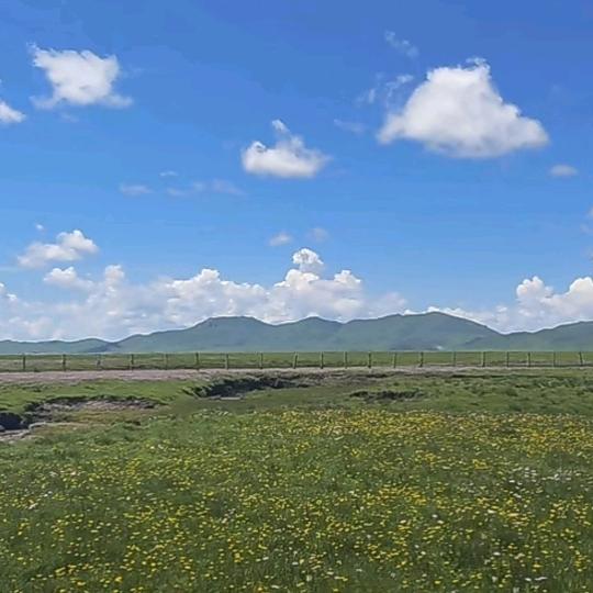 河卵石