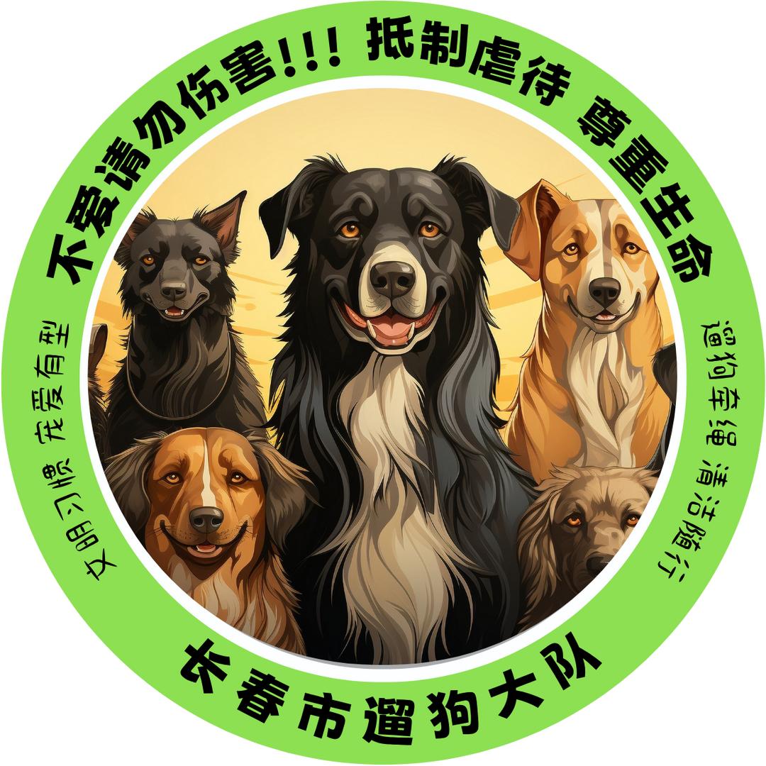 长春市遛狗大队🦮