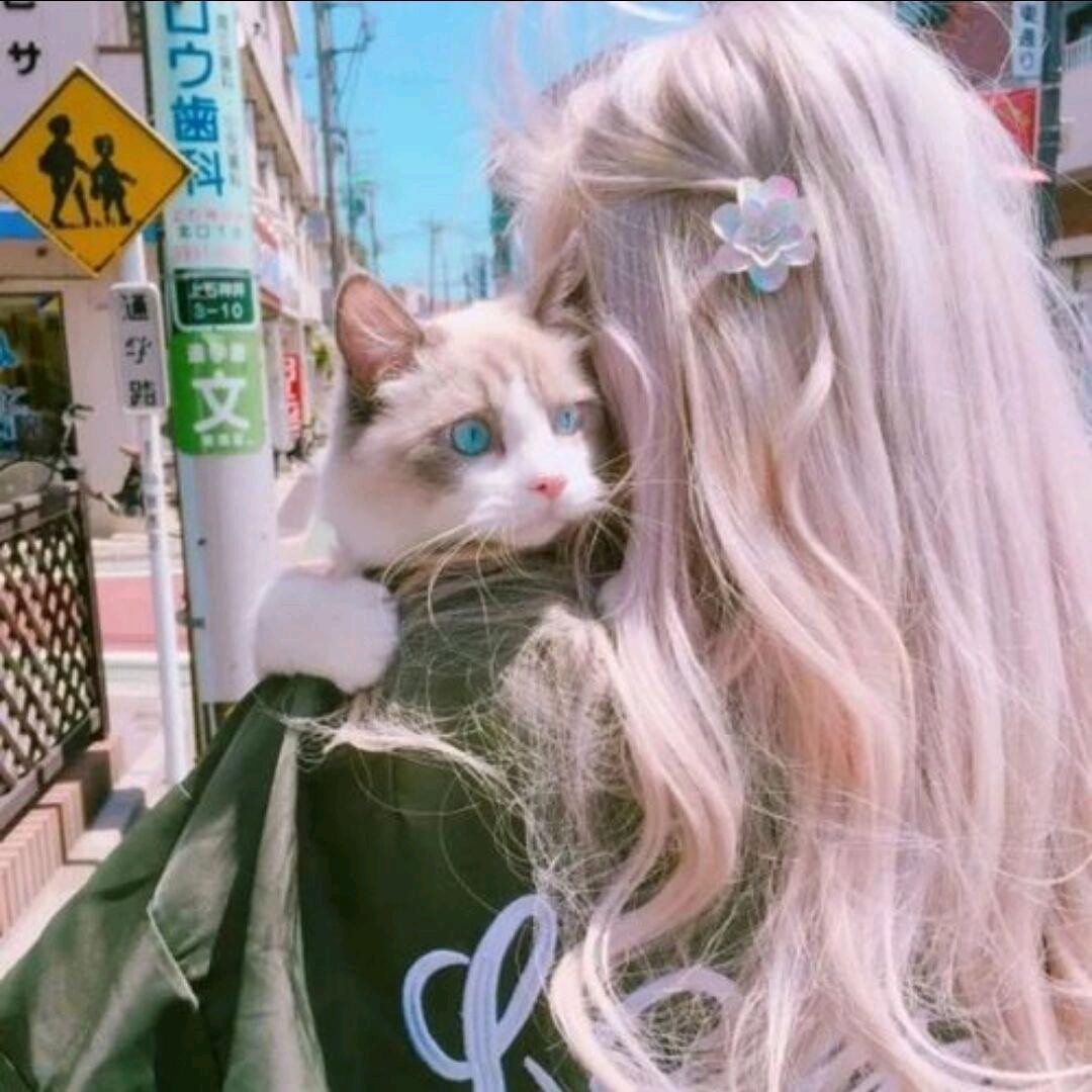 喵喵₍˄·͈༝·͈˄₎◞︎ ̑̑ෆ⃛
