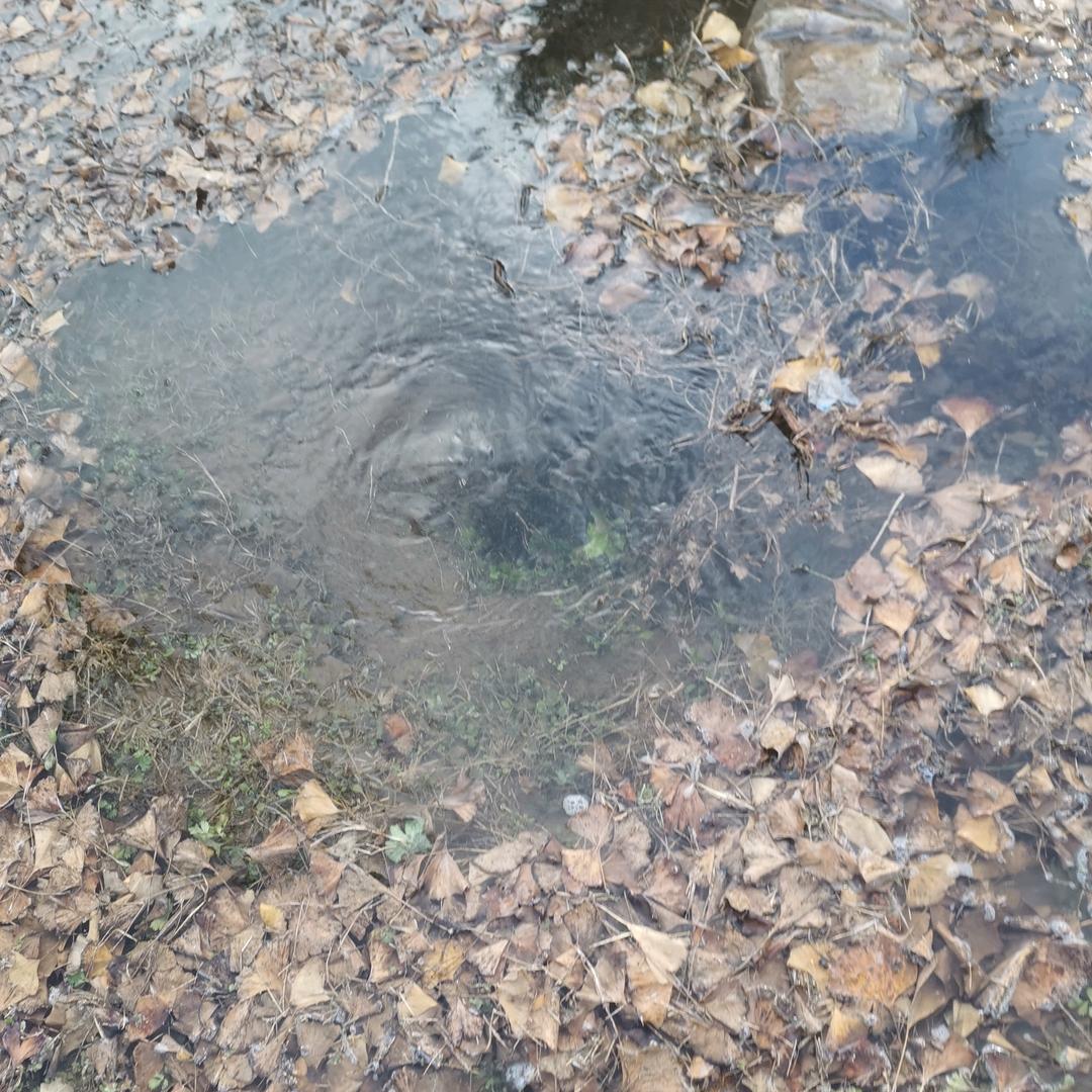 @老天爷赏饭吃———诚焽