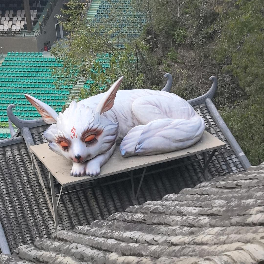 陈姐爱旅游