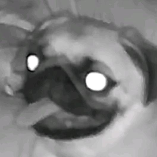 微笑人生