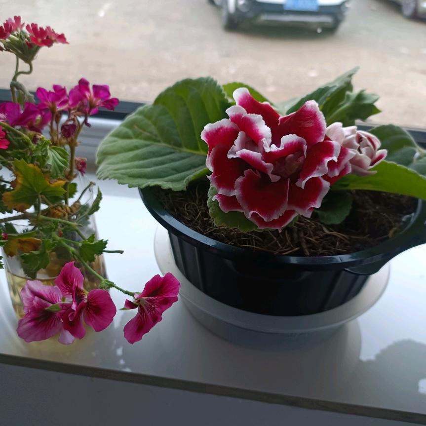 上善若水，厚德载物